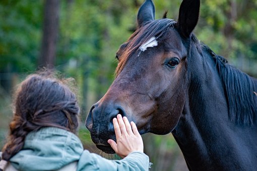 Vrijwilliger gezocht voor paardenliefhebster - Samen oplopen